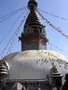 Monkey Temple